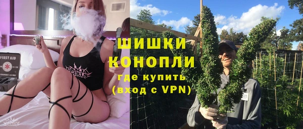шишки Баксан