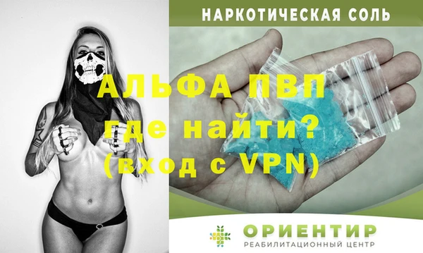 PSILOCYBIN Аркадак