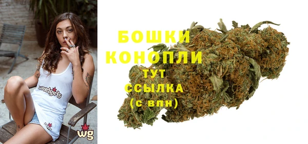 PSILOCYBIN Аркадак