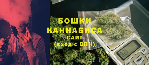 шишки Баксан