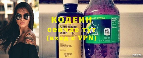 шишки Баксан